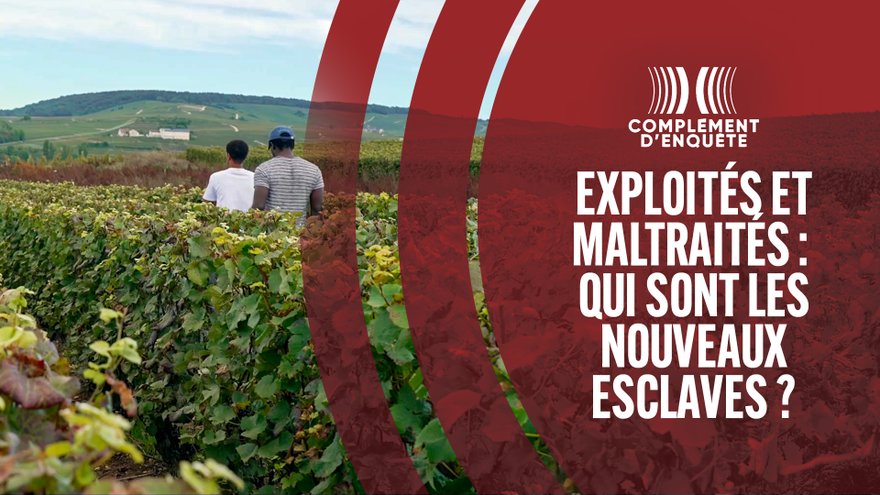 Les Cocus Fracassés: Une Analyse Dévastatrice de la Société Française